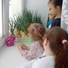 IMG_20240312_080716.jpg
