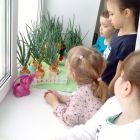 IMG_20240312_080713.jpg